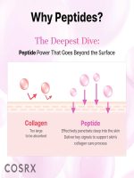 بوستر سرم تقویت کننده پپتاید 6 کاره اصل کوزارکس Cosrx مدل 6 Peptide Skin Booster حجم 150 میل - Image 6