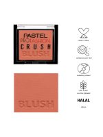 رژ گونه اورجینال پاستل مدل Crush کد 309