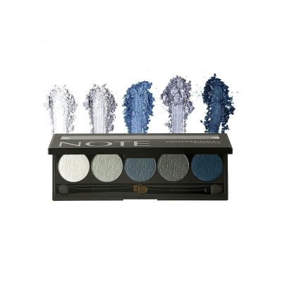 پالت سایه چشم نوت سری Professional Palette شماره 101